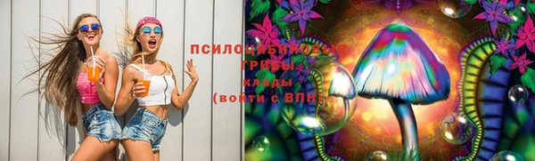 синтетический гашиш Алексин