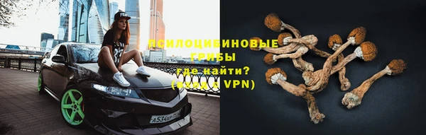 синтетический гашиш Алексин
