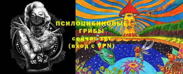 синтетический гашиш Алексин