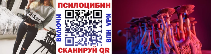 наркошоп  кракен ТОР  Галлюциногенные грибы ЛСД  Андреаполь 